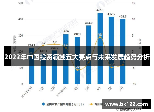 2023年中国投资领域五大亮点与未来发展趋势分析