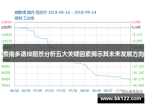 费南多退役前景分析五大关键因素揭示其未来发展方向